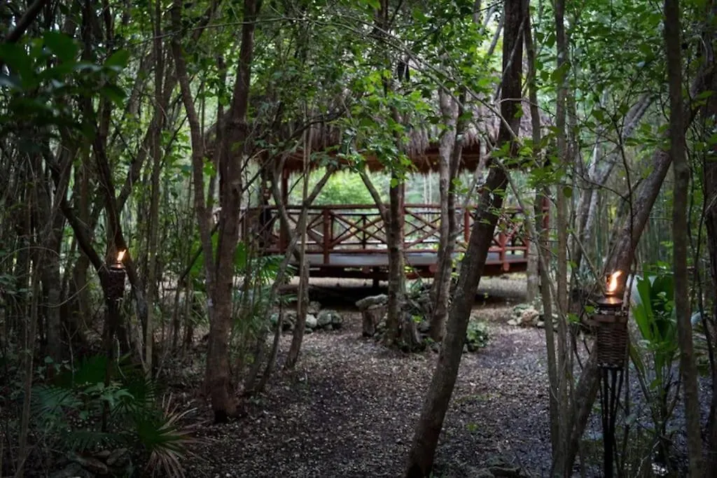 Hermosa Villa Con Espacios De Naturaleza Y Yoga Puerto Morelos 0*,  Mexico