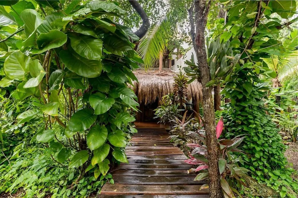 Hermosa Villa Con Espacios De Naturaleza Y Yoga Puerto Morelos 0*,  Mexico